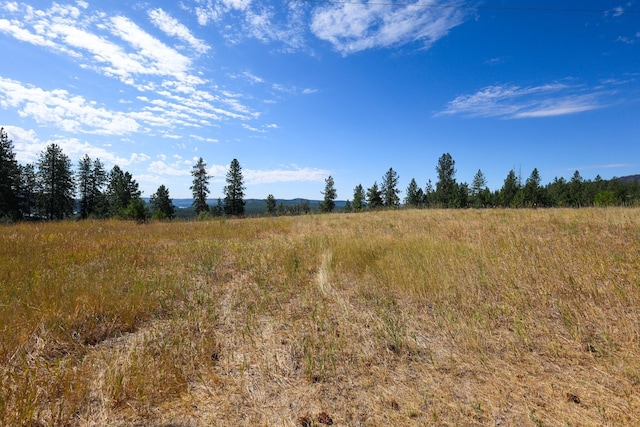 5677 Riverview Ln, Deer Park, WA 99006 - photo 9