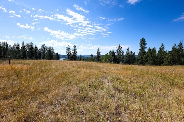 5677 Riverview Ln, Deer Park, WA 99006 - photo 10