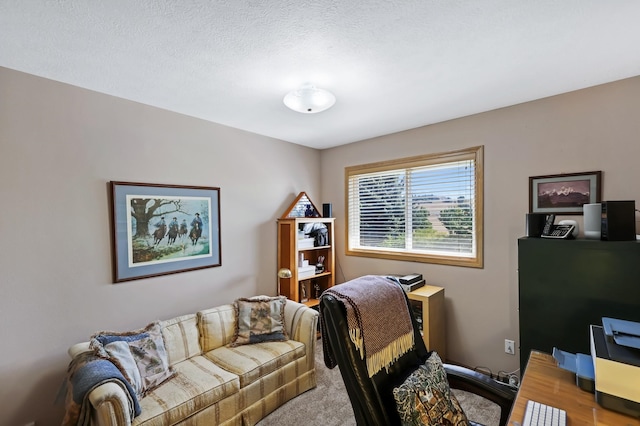 11705 S Littler Dr, Spokane, WA 99223 - photo 31