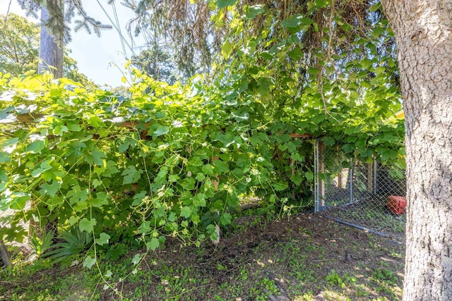 621 W Mansfield Ave, Spokane, WA 99205 - photo 20