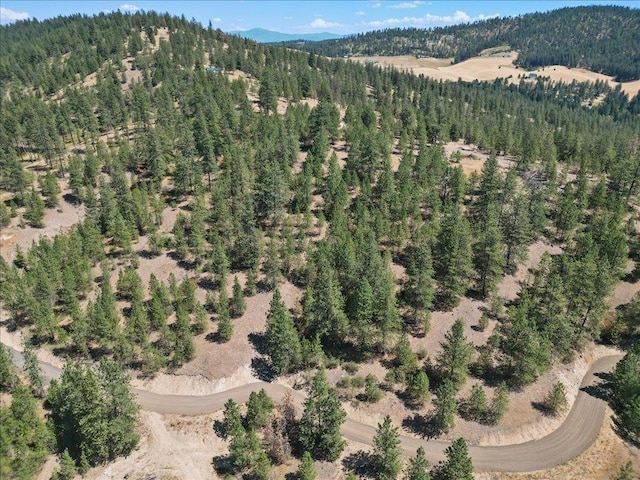 NKA Weaver Way Lot 2Of Lot 3, Deer Park, WA 99006 - photo 5