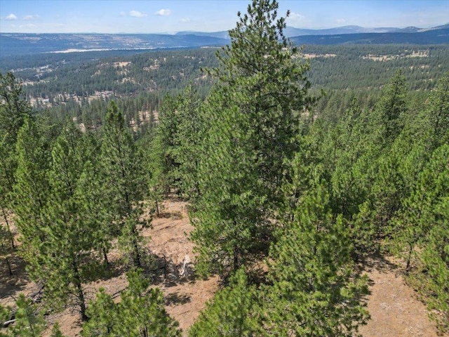 NKA Weaver Way Lot 2Of Lot 3, Deer Park, WA 99006 - photo 7