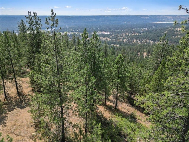 NKA Weaver Way Lot 2Of Lot 3, Deer Park, WA 99006 - photo 9