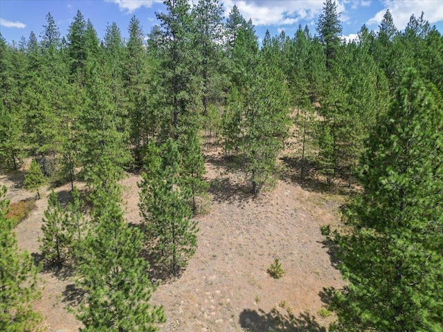 NKA Weaver Way Lot 2Of Lot 3, Deer Park, WA 99006 - photo 10