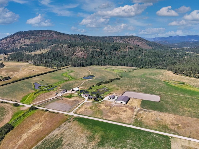 2536 Heine Rd, Chewelah, WA 99109 - photo 1