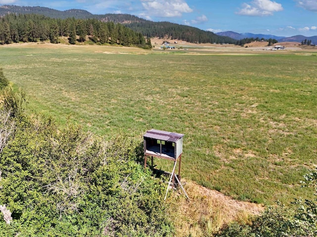 2536 Heine Rd, Chewelah, WA 99109 - photo 11