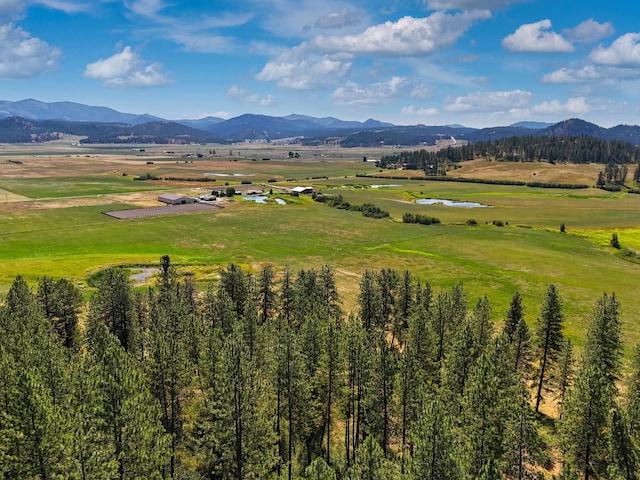 2536 Heine Rd, Chewelah, WA 99109 - photo 21