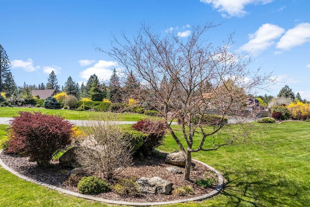 1804 S Viewcrest Ln Unit 1804, Spokane Valley, WA 99212 - photo 47