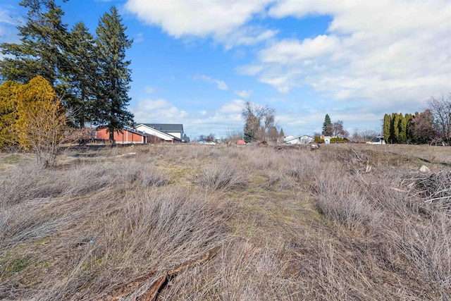 12323 E Riverside Ave, Spokane, WA 99216 - photo 13
