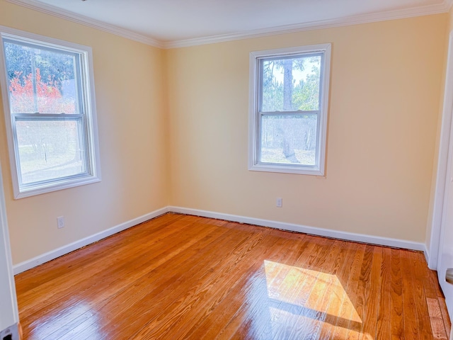 unfurnished room with crown molding and light wood-type flooring