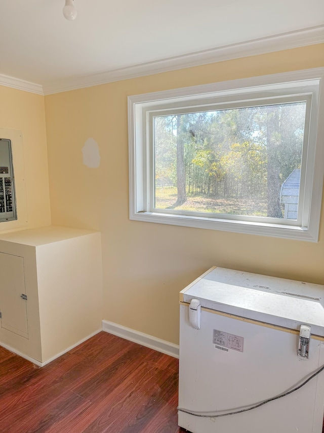 laundry area with ornamental molding and dark hardwood / wood-style flooring