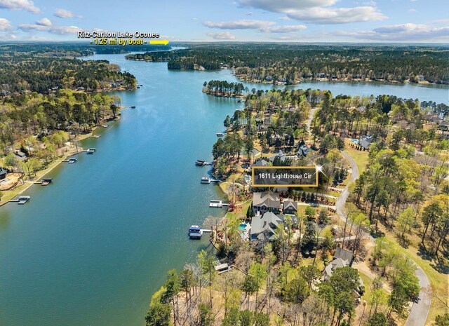 1611 Lighthouse Cir, Greensboro, GA 30642 - drone / aerial view featuring a water view