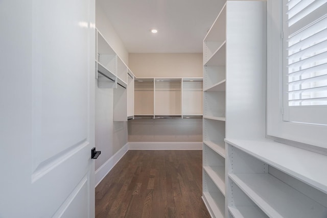 walk in closet featuring dark wood-type flooring