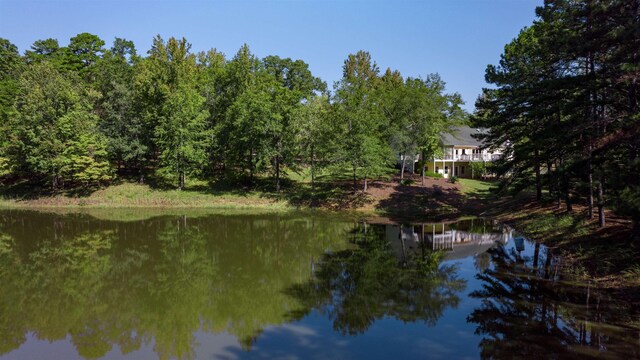 1321 Clearwater, White Plains, GA 30678 - photo 40