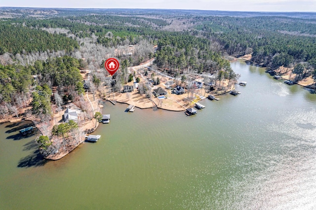 bird's eye view with a wooded view and a water view