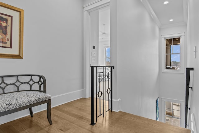 corridor with crown molding, plenty of natural light, and light wood-type flooring