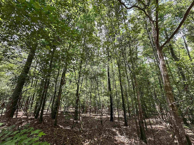 9.82/-ACRES Springfield Rd, Sparta, GA 31087