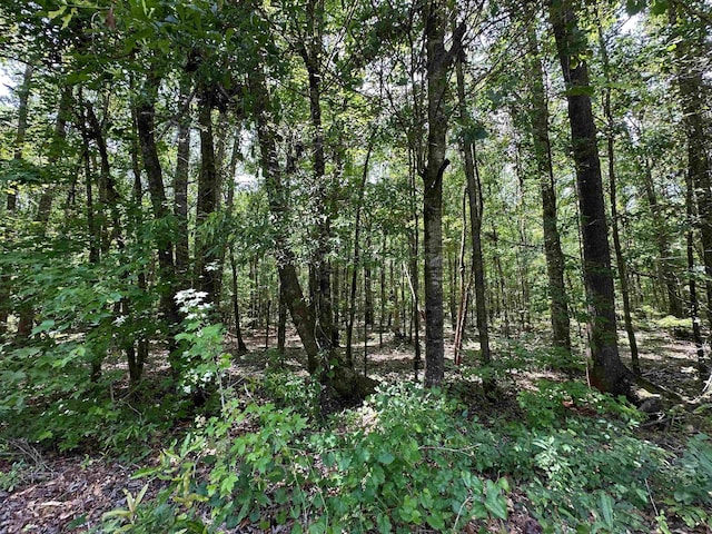 9.82/-ACRES Springfield Rd, Sparta, GA 31087