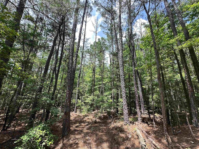 9.82/-ACRES Springfield Rd, Sparta, GA 31087