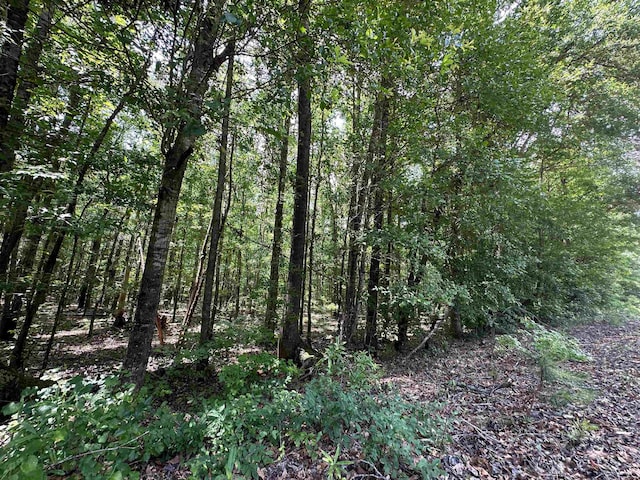 9.82/-ACRES Springfield Rd, Sparta, GA 31087