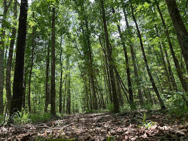 9.82/-ACRES Springfield Rd, Sparta, GA 31087
