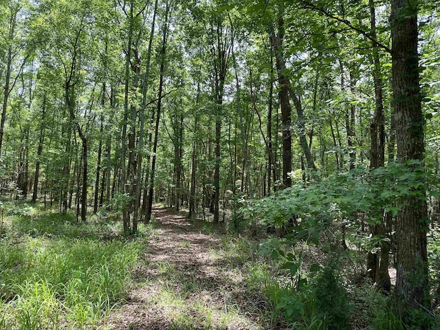 9.82/-ACRES Springfield Rd, Sparta, GA 31087