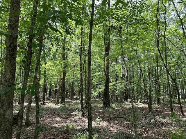 9.82/-ACRES Springfield Rd, Sparta, GA 31087