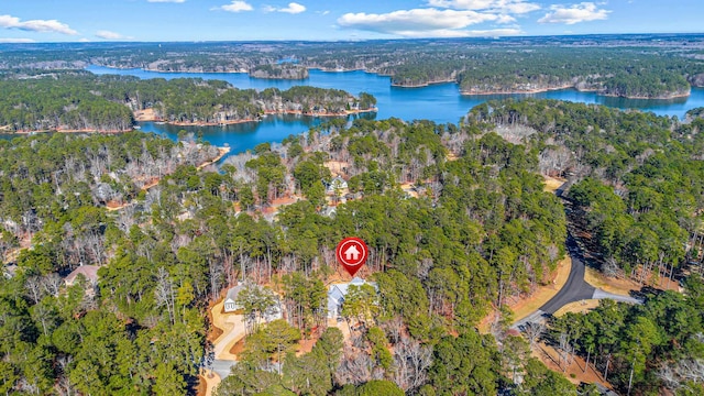 birds eye view of property with a water view and a view of trees