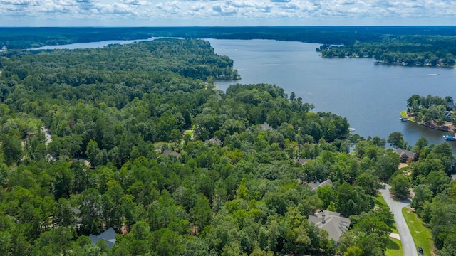 bird's eye view with a water view and a wooded view