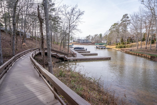 dock area with a water view