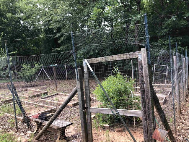 104 Wesley Ln, Eatonton, GA 31024 - view of yard featuring a vegetable garden