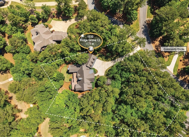 1030 Ridge Grove Ct, Greensboro, GA 30642 - drone / aerial view