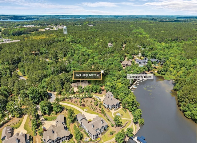 1030 Ridge Grove Ct, Greensboro, GA 30642 - aerial view with a water view and a view of trees