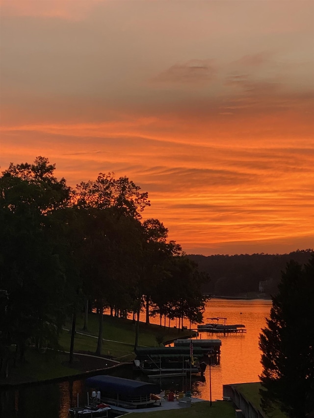 1060 Old Rock Rd, Greensboro, GA 30642 - water view with a dock and boat lift