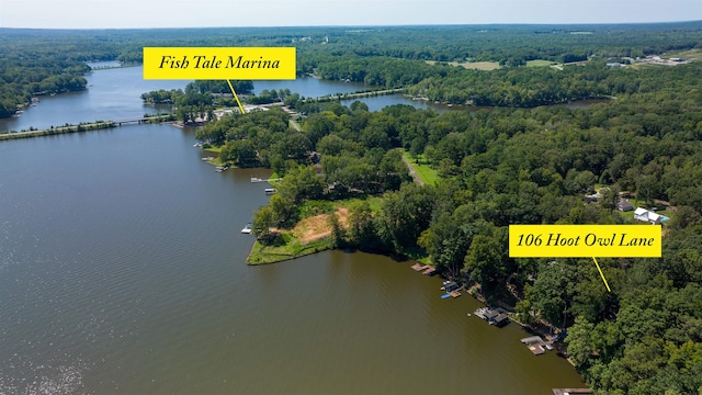 drone / aerial view of a forest and a large body of water