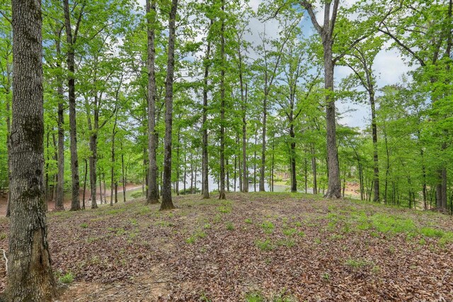 2471 Linger Longer Dr, Greensboro, GA 30642