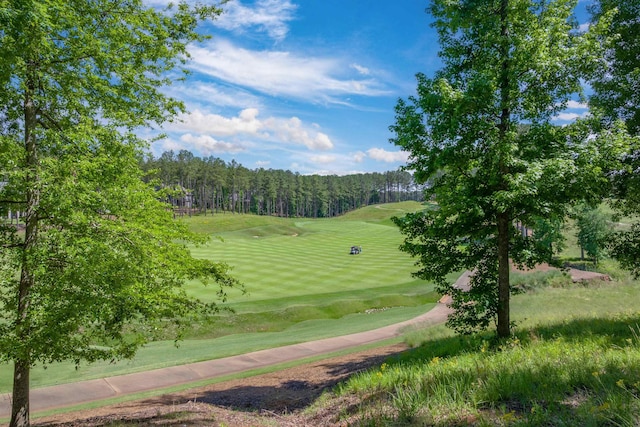 1040 Bunker Bnd, Greensboro, GA 30642