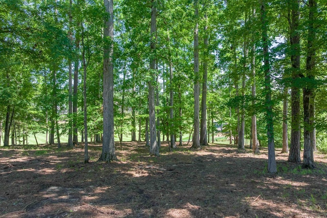 1040 Bunker Bnd, Greensboro, GA 30642