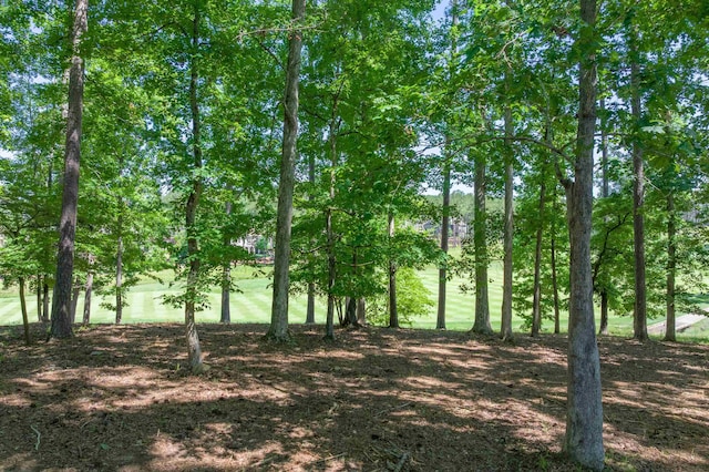 1040 Bunker Bnd, Greensboro, GA 30642