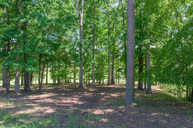 1040 Bunker Bnd, Greensboro, GA 30642