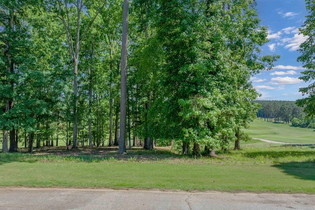 1040 Bunker Bnd, Greensboro, GA 30642