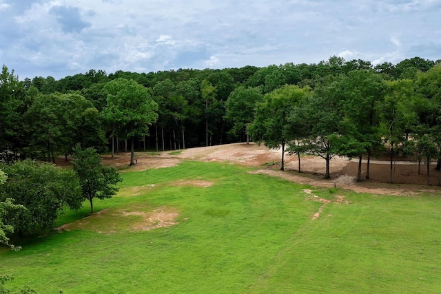 1901 Pine Grove Rd, Greensboro, GA 30642 - photo 10