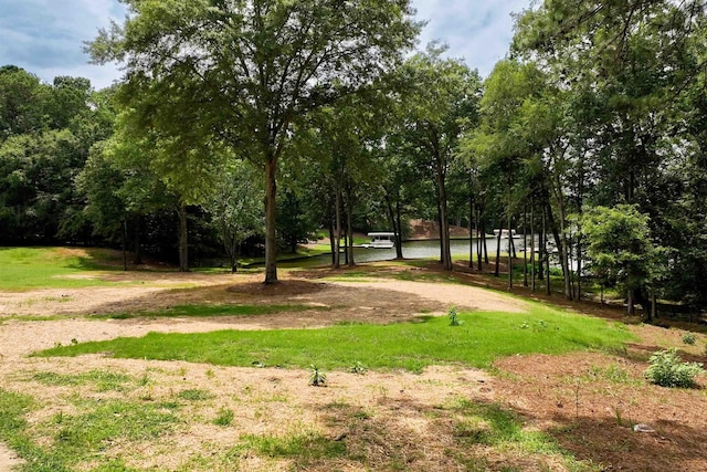 1901 Pine Grove Rd, Greensboro, GA 30642 - photo 5