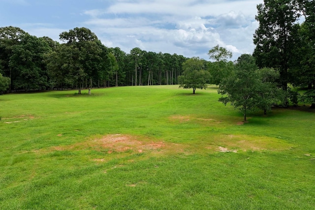 1901 Pine Grove Rd, Greensboro, GA 30642 - photo 9