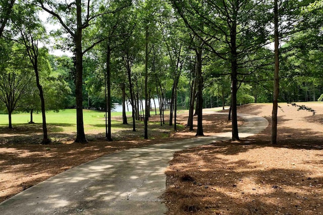 1901 Pine Grove Rd, Greensboro, GA 30642 - photo 4