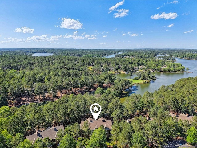 1050A Tailwater, Greensboro, GA 30642 - bird's eye view of a forest and a large body of water