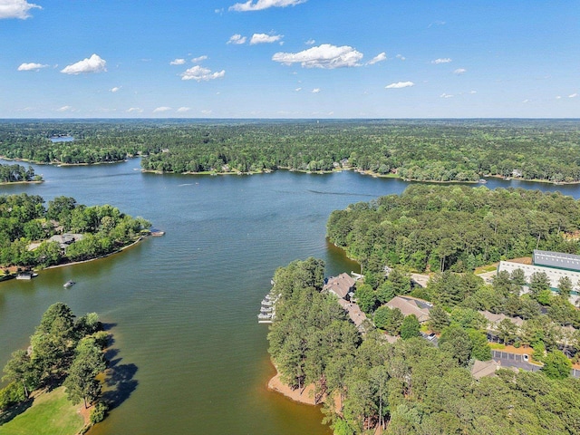 1050A Tailwater, Greensboro, GA 30642 - bird's eye view of a forest and a large body of water