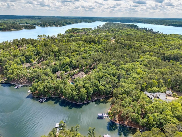 2030 Linger Longer Dr, Greensboro, GA 30642 - birds eye view of property with a water view and a view of trees