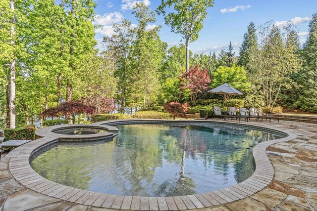 2030 Linger Longer Dr, Greensboro, GA 30642 - view of swimming pool featuring a patio area and a pool with connected hot tub