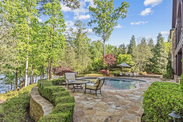 2030 Linger Longer Dr, Greensboro, GA 30642 - pool featuring a patio and a hot tub